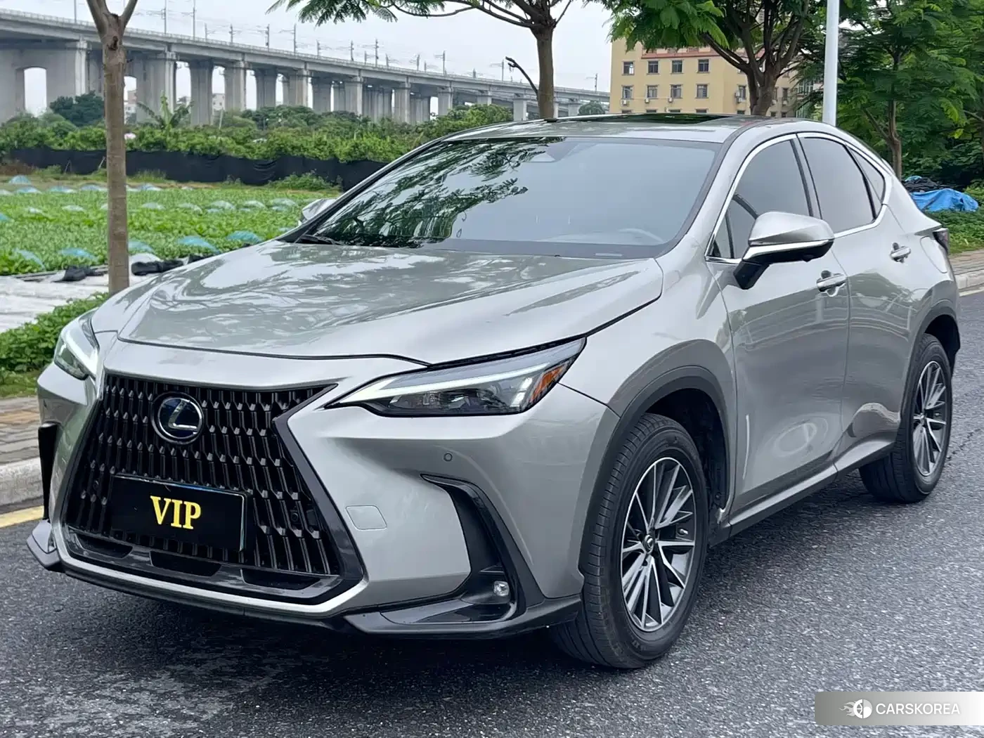 Lexus NX 2022 Silver/gray из Китая