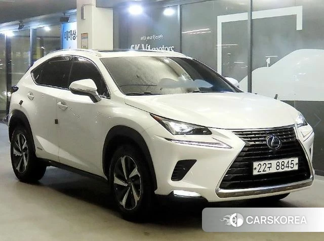 Lexus NX300h 2019 Белый из Кореи