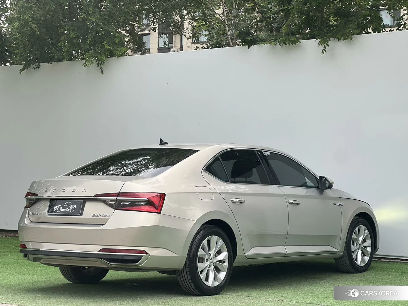 Skoda Speed pie 2021 Шампань из Китая