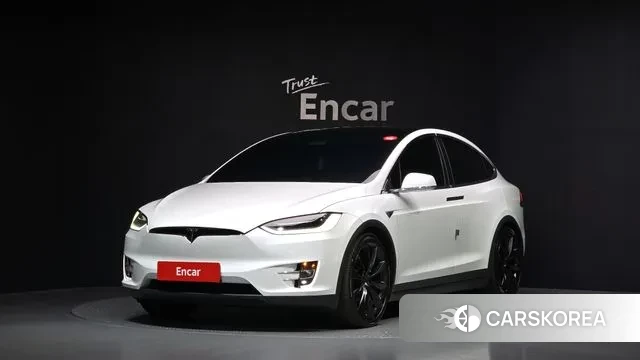 Tesla Model X 2019 Белый из Кореи