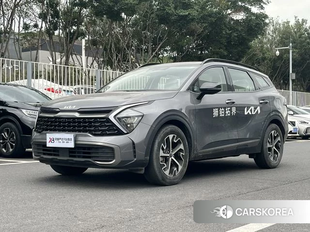 Kia Lion Platinum expands the world 2023 Темно-серый из Китая
