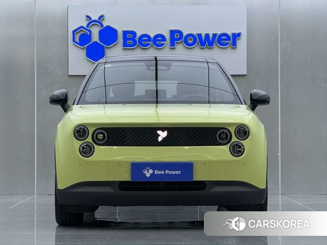 firefly firefly Unknown 2025 Зеленый из Китая