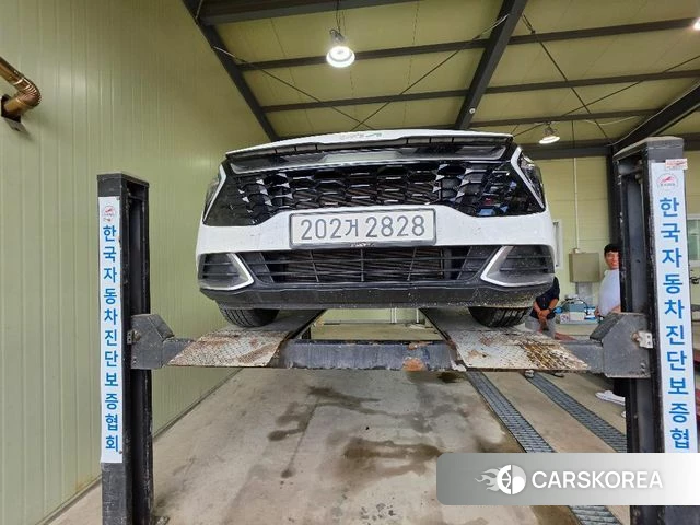 Kia Sportage 5th Generation 2022 Белый из Кореи