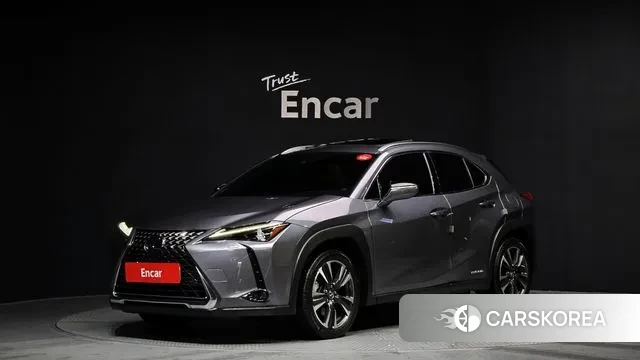 Lexus UX250h 2021 Серый из Кореи