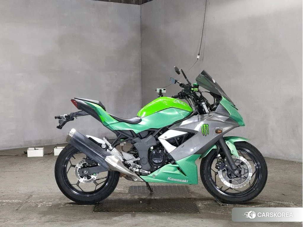 Проданный Kawasaki NINJA 250SL 2015 из Японии