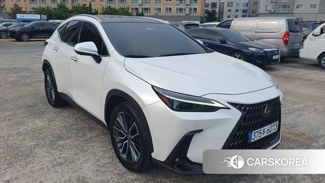 Lexus NX350h Second generation 2023 Белый из Кореи