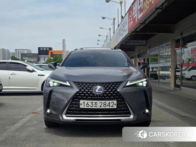 Lexus UX250h 2019 Серый из Кореи