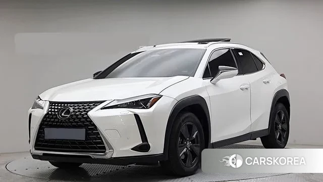 Lexus UX300h 2024 Белый из Кореи