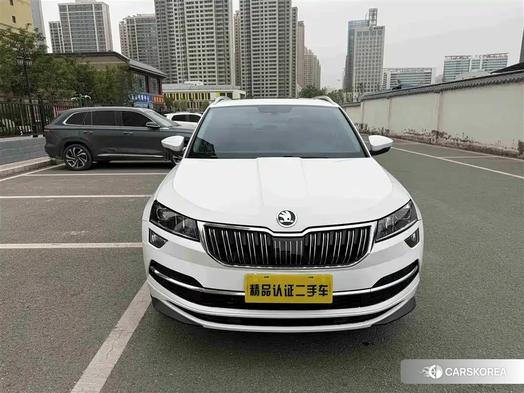 Skoda Krok 2022 Белый из Китая