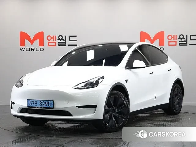 Tesla Model Y 2024 Белый из Кореи