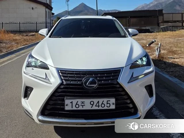 Lexus NX300h 2019 Белый из Кореи