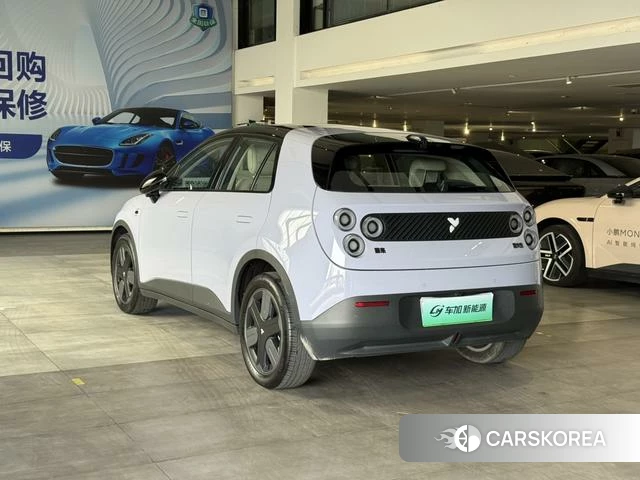 firefly firefly Unknown 2025 Фиолетовый из Китая