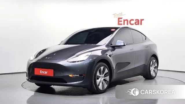 Tesla Model Y 2021 Серый из Кореи