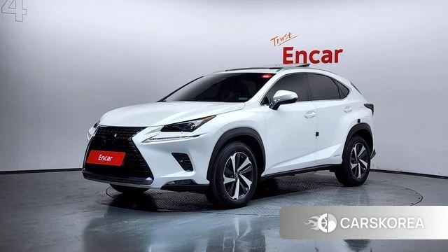 Lexus NX300h 2019 Белый из Кореи