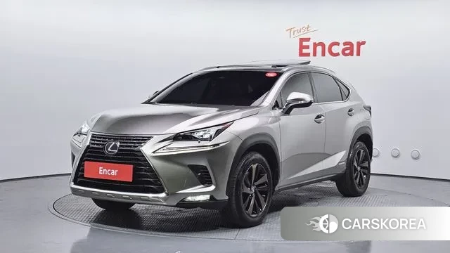 Lexus NX300h 2018 Серый из Кореи