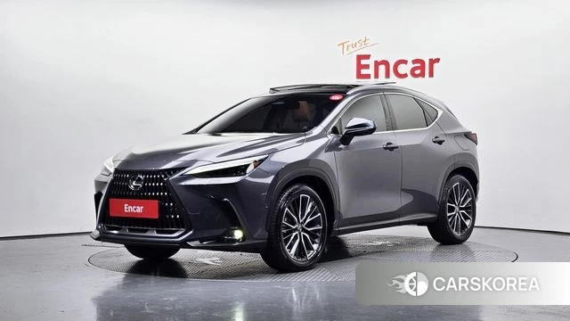 Lexus NX350h Second generation 2023 Серый из Кореи