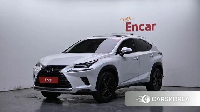 Lexus NX300h 2019 Белый из Кореи