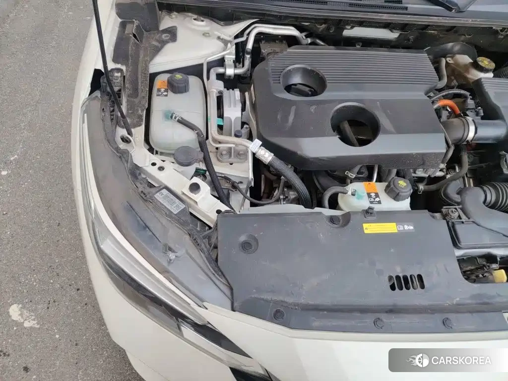 Nissan Sylphy 2022 Белый из Китая