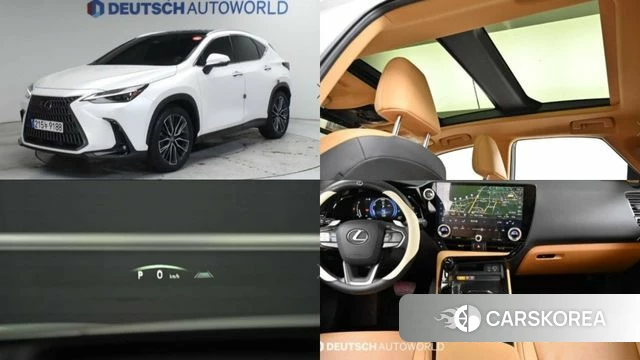 Lexus NX350h Second generation 2024 Белый из Кореи