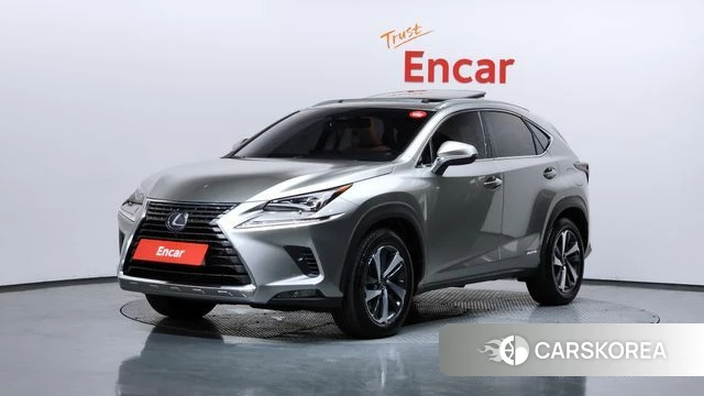 Lexus NX300h 2019 Серый из Кореи