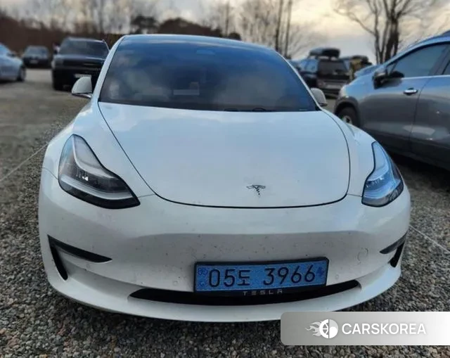 Tesla Model 3 2020 Белый из Кореи