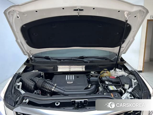 Cadillac XT5 2021 Белый из Китая