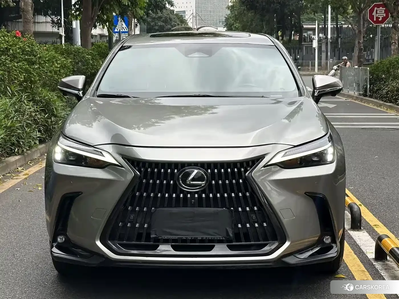 Lexus NX 2023 Silver/gray из Китая