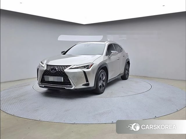 Lexus UX250h 2019 Серый из Кореи