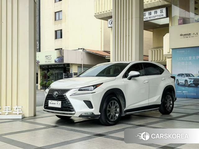 Lexus NX 2019 Белый из Китая