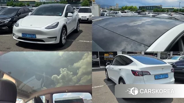 Tesla Model Y 2021 Белый из Кореи