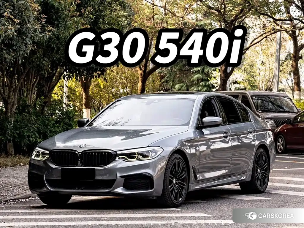 BMW 5 series 2020 Silver/gray из Китая