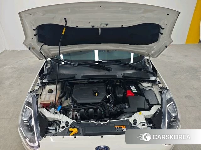 Ford Forrest 2021 Белый из Китая