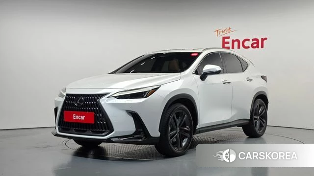 Lexus NX350h Second generation 2024 Белый из Кореи