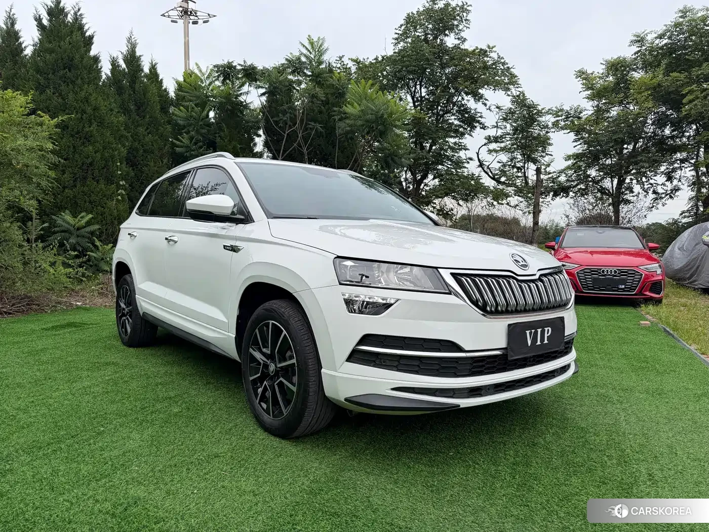 Skoda Karoq 2023 Белый из Китая