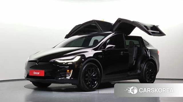 Tesla Model X 2019 Черный из Кореи