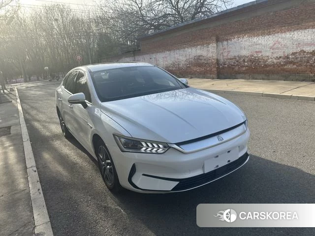 BYD Qin PLUS EV 2023 Белый из Китая