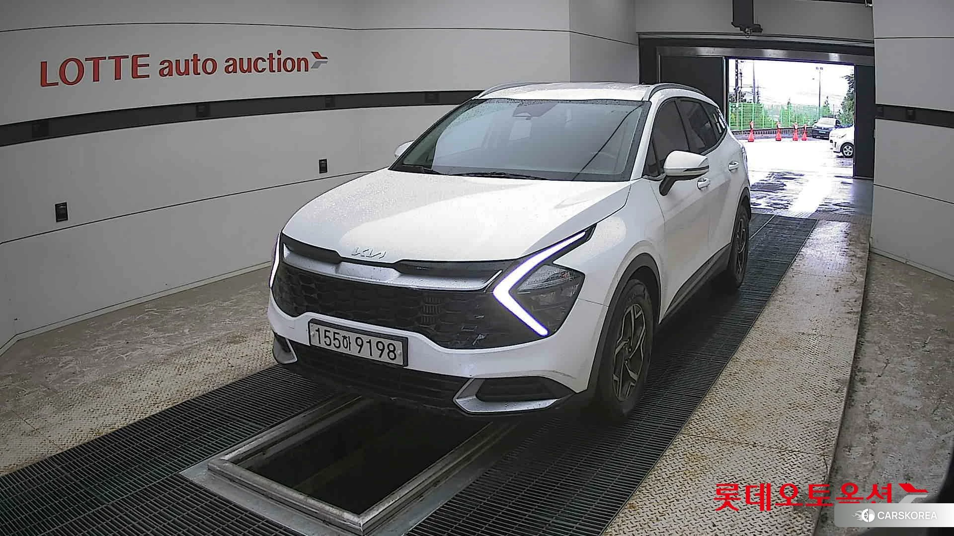 Kia Sportage 2022 Snow White Pearl (optional) из Кореи