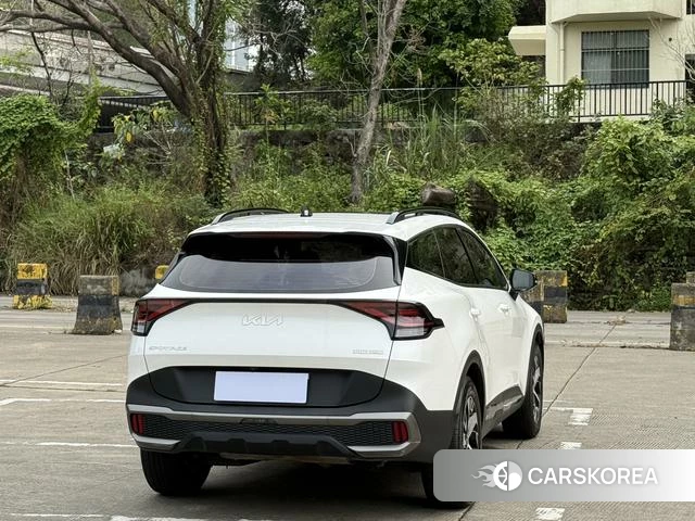 Kia Lion Platinum expands the world 2023 Белый из Китая