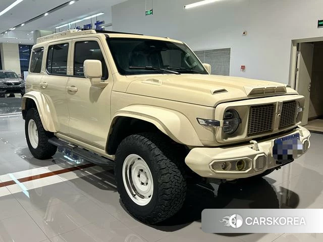 Tank 300 2022 Другой из Китая