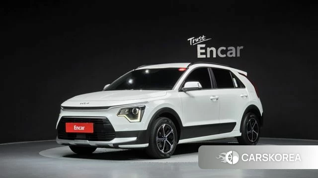 Kia Di Ol Nu Niro 2024 Белый из Кореи