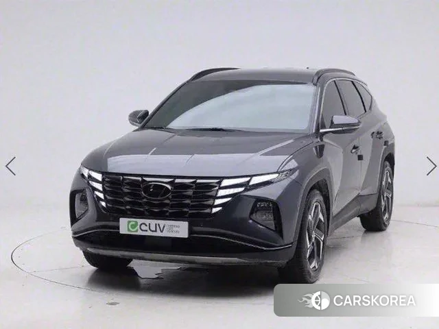 Hyundai Tucson (NX4) 2021 Серый из Кореи