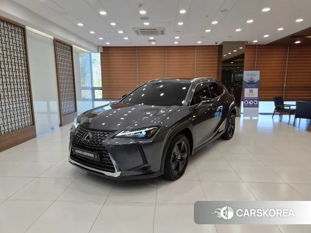 Lexus UX300h 2024 Серый из Кореи