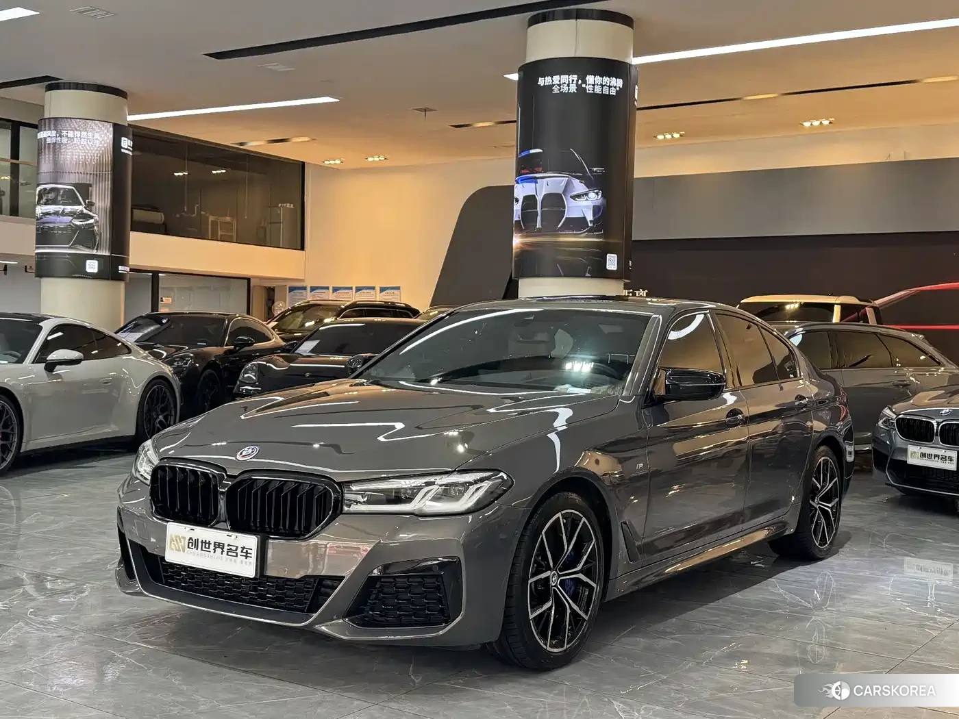 BMW 5 series 2023 Champagne/brown из Китая