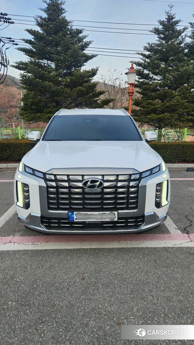 Hyundai The New Palisade 2023 Белый из Кореи