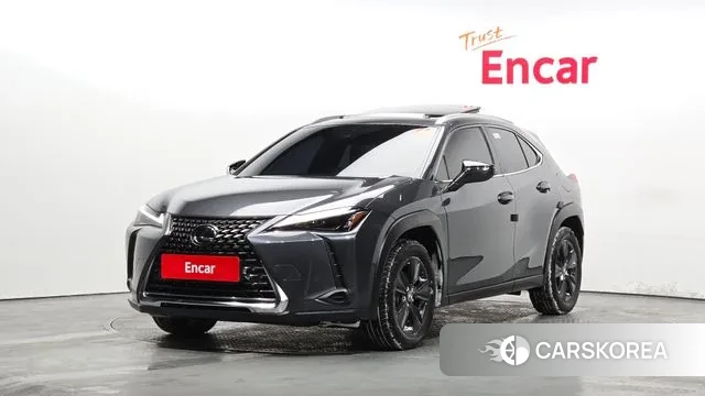 Lexus UX250h 2023 Серый из Кореи