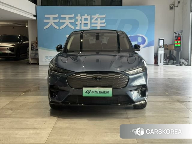Ford Electric horse 2023 Синий из Китая