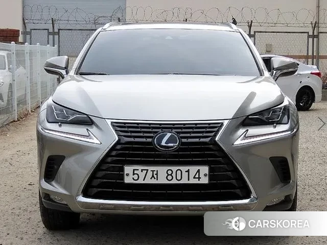 Lexus NX300h 2019 Серый из Кореи