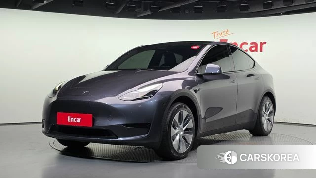 Tesla Model Y 2023 Серый из Кореи