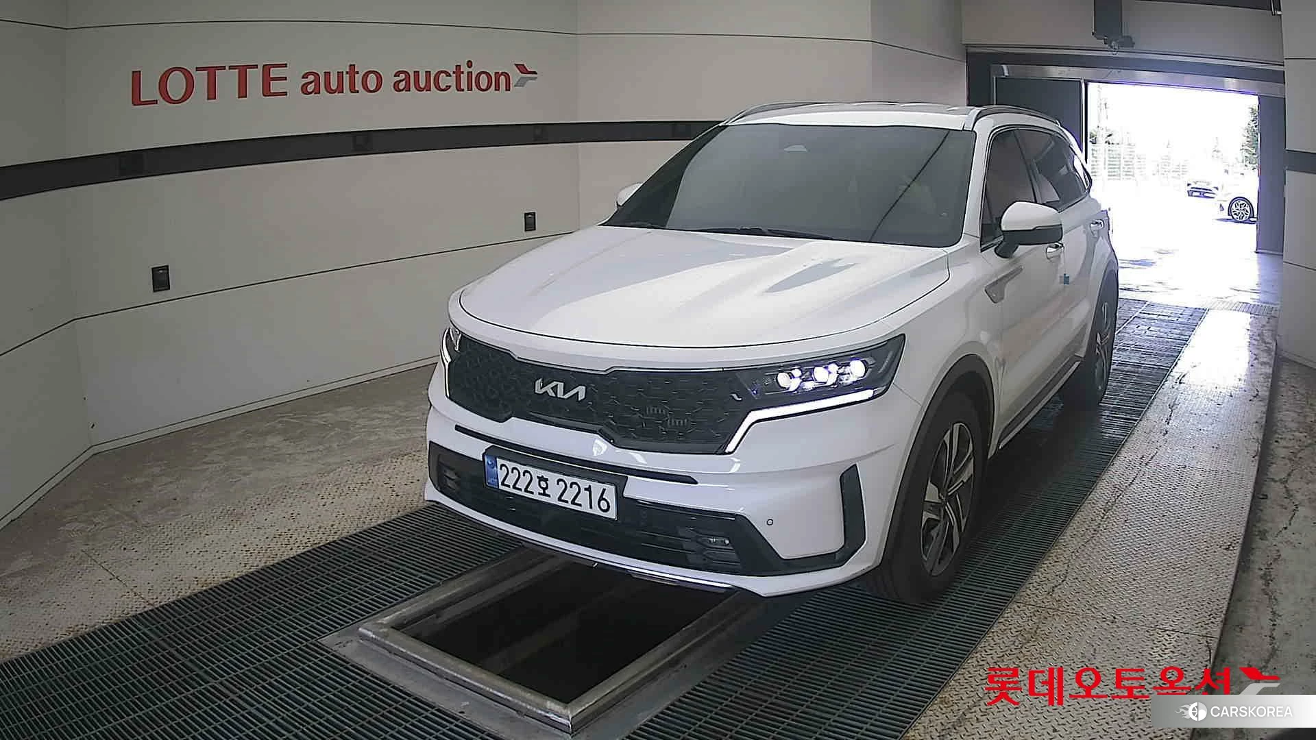 Kia Sorento Hybrid 2023 Snow White Pearl из Кореи