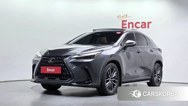 Lexus NX350h Second generation 2023 Серый из Кореи
